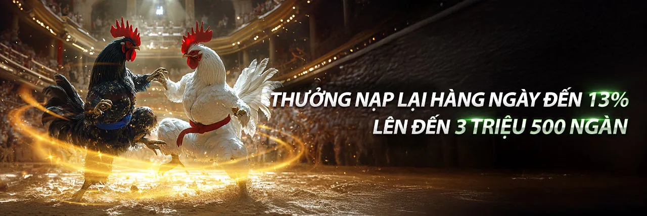 Đá Gà Trực Tuyến Hấp Dẫn tại thabet trang chủ